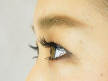 ロータス(LOTUS)/人気の秘密は…