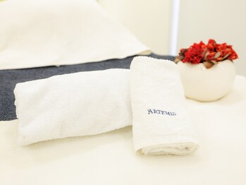 アルテミス(ARTEMIS)/