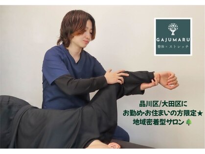 がじゅまるの写真