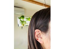 カモミールの雰囲気（耳つぼジュエリー☆）