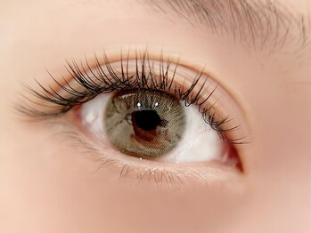 ハル 豊中本店(HAL)/フラットラッシュ140本