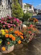 ちひろのへや/お店の外観 &nbsp;お花