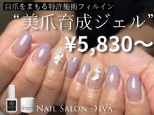 ネイルサロンディーバ 石橋店(Diva)