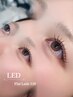 KASUMI指名限定　LEDフラットラッシュ100本モニター　割引クーポン￥6700