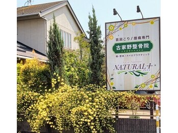 古家野整骨院/１【外看板】古家野整骨院