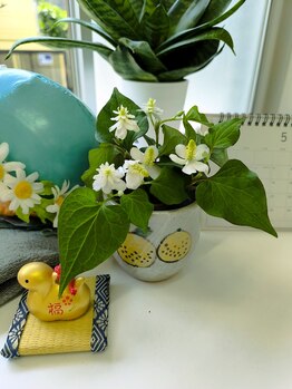 ブリーズ 西東京市田無(breathe)/