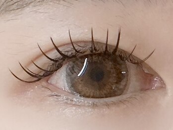 ピピ(pipi)/フラットラッシュ100本