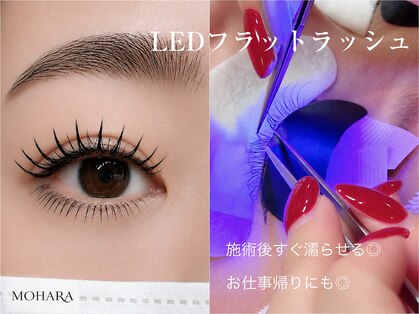モハラ(MOHARA)の写真