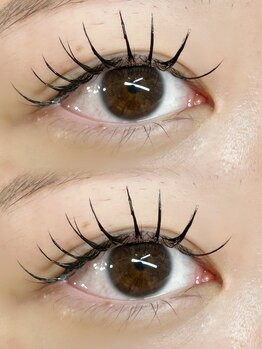 フルール(FLEUR)/フラットラッシュ120本