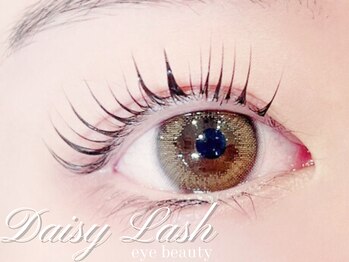 デイジーラッシュ 京橋店(Daisy Lash)/まつげパーマ［京橋マツパ眉毛］