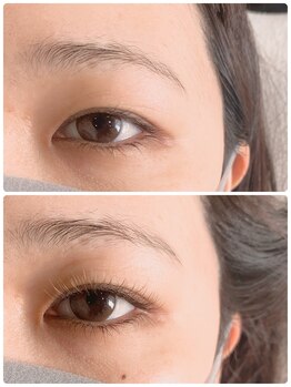 バードアイ(bird eye)/ブラウンエクステ