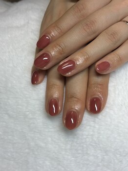 オランダエステティック(Holland Esthetics)/ワンカラー