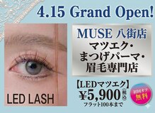 ミューズ 八街店(MUSE)