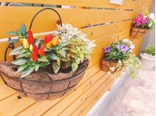 シャンティ(SHANTI)/外観の目印　２