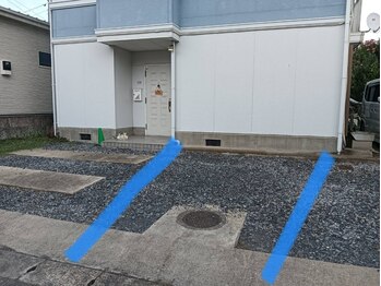 エキナセア(echinacea)/駐車場