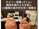 カメリー座薫 大阪上本町本店の写真