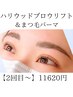 【眉毛スタイリング＆まつげパーマ】　２回目～　11620円★