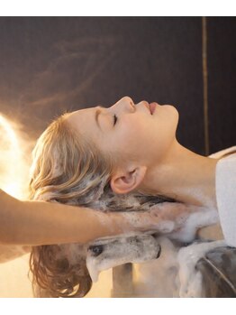 テラ(TERRA)/頭から全身まで整える