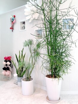 アクアマリン 福山三吉(aquamarine)/