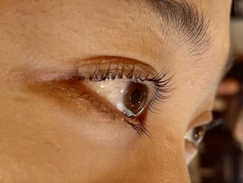 アイラッシュサロンラコタ 池袋東口店(RACOTA)/ラッシュリフト カール編