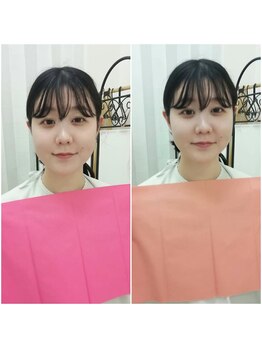 フラワーファクトリーズ/スプリング／オータム比較