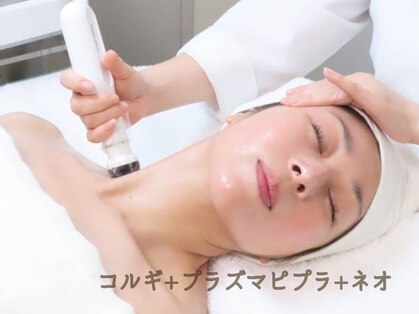 わなびーの写真