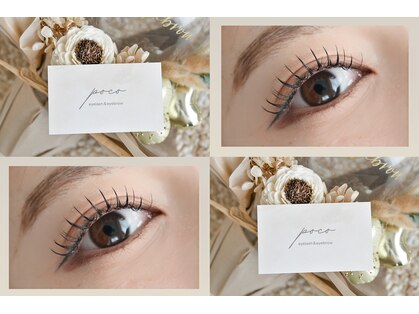 ポコ(poco)の写真