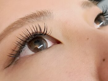 グランドライン アイラッシュ(GRAND LINE)/フラットラッシュ/160本￥8400