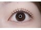 レイアイラッシュ 守谷店(Ray Eyelash Salon)の写真