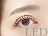◎【 圧倒的持続力】最新LEDエクステ☆フラットラッシュ 100本　オフ込