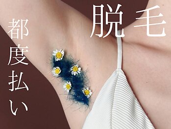 テリー(Terry)