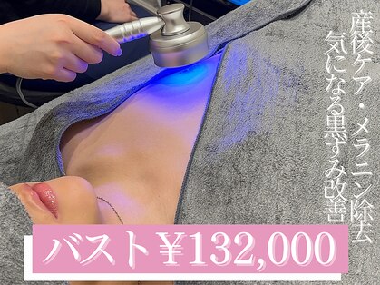 アリウム(ALLIUM)の写真