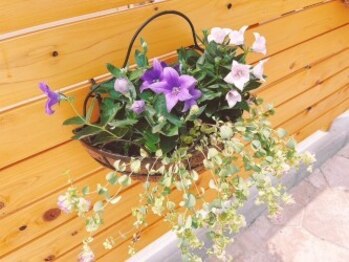 シャンティ(SHANTI)/外観の目印　３