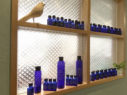 ノラサパスハリキュー(NOLASAPS hari-Q)の写真