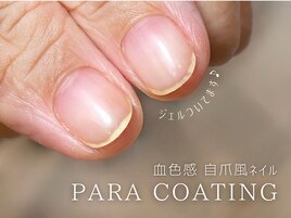 自爪風パラコーティング(マット)