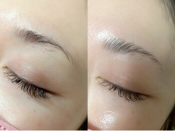 テラ アイラッシュ(TERRA eyelash)/＊ハリウッドブロウリフト＊