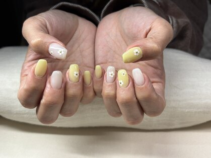 ルコトン(le coton)の写真