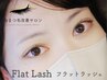 【ナチュラル&束感デザイン】フラットラッシュ120本 ¥7700