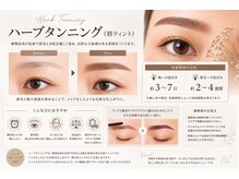 最新技術導入その２　こすっても落ちにくい眉ティント　ハーブタンニングアイブロウ