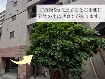 シーンスタジオ 金山店(SSIN STUDIO)/道案内6 眉毛/まつげパーマ