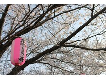 整体院 チーム蒼/お花見にでかけよう☆