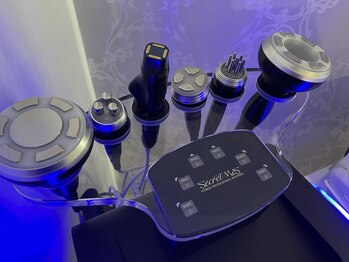 フェレザ 新潟(Felleza)/先端テクノロジー痩身美顔マシン