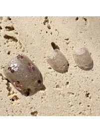 【フット】New Design