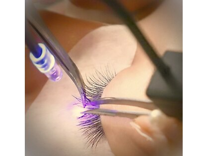 ウェリナ(WELINA)の写真