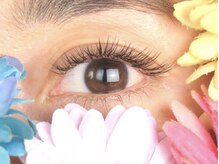 マカロン 博多店(Macaron)/4D5Dラッシュ100束4500円