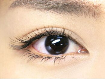 フェリール 南草津(FeeRiRe)/ナチュラル Jカール★南草津★