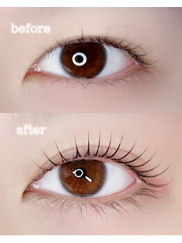 ミルコット(milkott)/目尻が長い方に/まつげパーマ