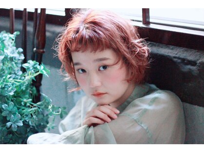 ダフネ(DAFNE)の写真
