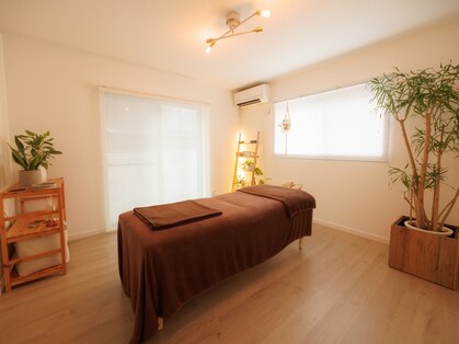 ソラ(SORA)の写真