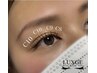 フラットラッシュ　　30本